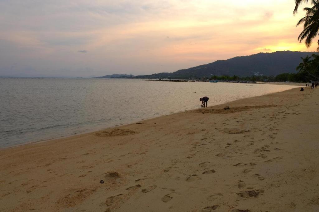 Rose Garden Samui Bungalows شاطئ لاماي المظهر الخارجي الصورة