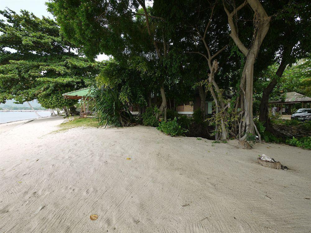 Rose Garden Samui Bungalows شاطئ لاماي المظهر الخارجي الصورة