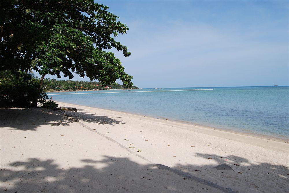 Rose Garden Samui Bungalows شاطئ لاماي المظهر الخارجي الصورة